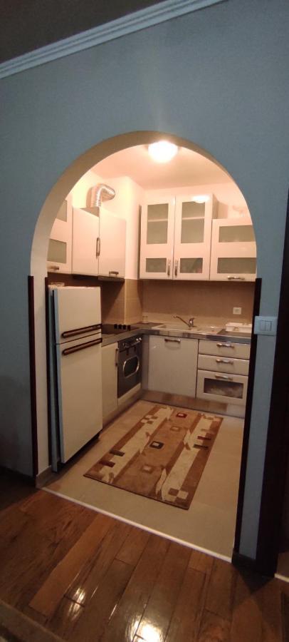 Apartman Tanya Apartment Podgorica Exterior photo